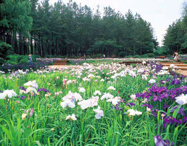 三国町海浜自然公園