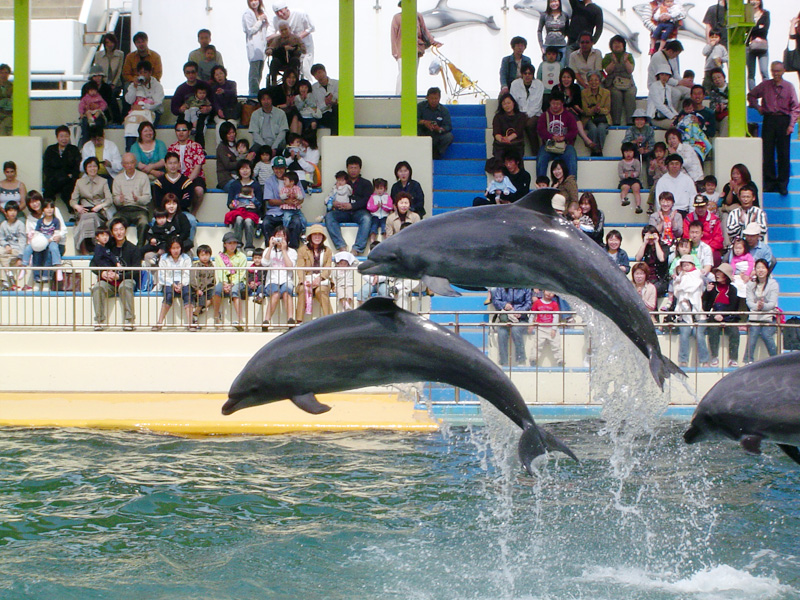 越前松島水族館